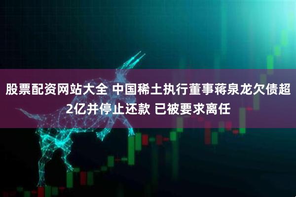股票配资网站大全 中国稀土执行董事蒋泉龙欠债超2亿并停止还款 已被要求离任