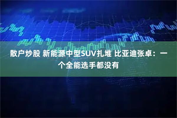 散户炒股 新能源中型SUV扎堆 比亚迪张卓：一个全能选手都没有